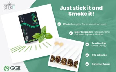 Cannabis startup StickIt signs a Joint Venture Agreement with Hempacco, a Green Globe International division, to produce 10 million CBD sticks per month